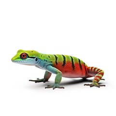 Obraz premium Madagascar Day Gecko