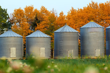 Old grain bins are in the field along the forest in autumn.