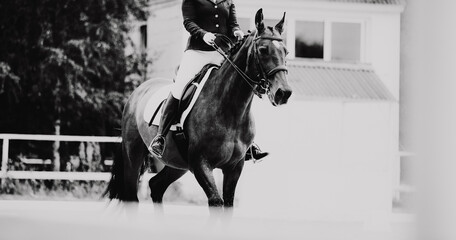 The black and white photo captures a horse and its rider compete in a dressage event. The...