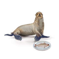 Fototapeta premium lion de mer, poisson, vieille, faune, mammifère, brun, mer, fond blanc, plateau, poisson, manger, frais, 