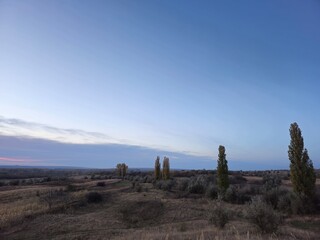 A landscape with trees and grass