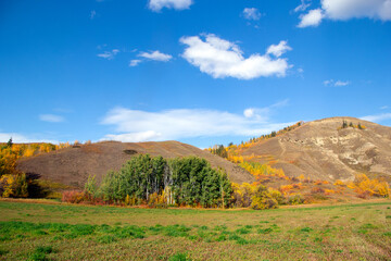 Fototapeta na wymiar Badland hills with dry grass and trees and blue sky.