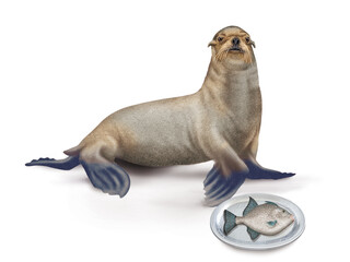 lion de mer, poisson, vieille,  faune, mammifère, brun, mer, fond blanc, plateau, poisson, manger, frais, 