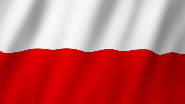 Poland Flag. Flag of Poland footage video waving in wind. 