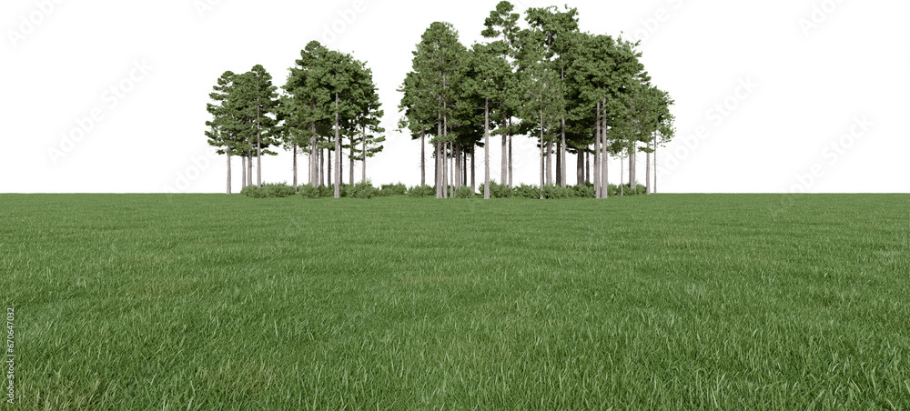 Fototapete realistic meadow and forest tree line. 3d rendering of isolated objects.