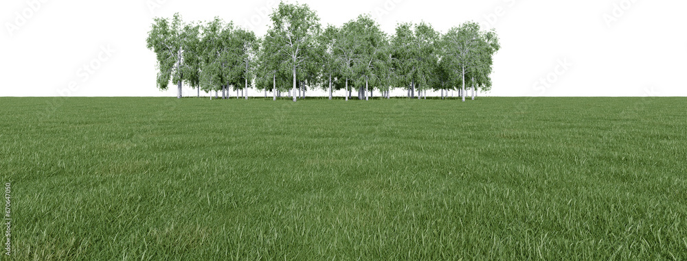 Poster realistic meadow and forest tree line. 3d rendering of isolated objects.