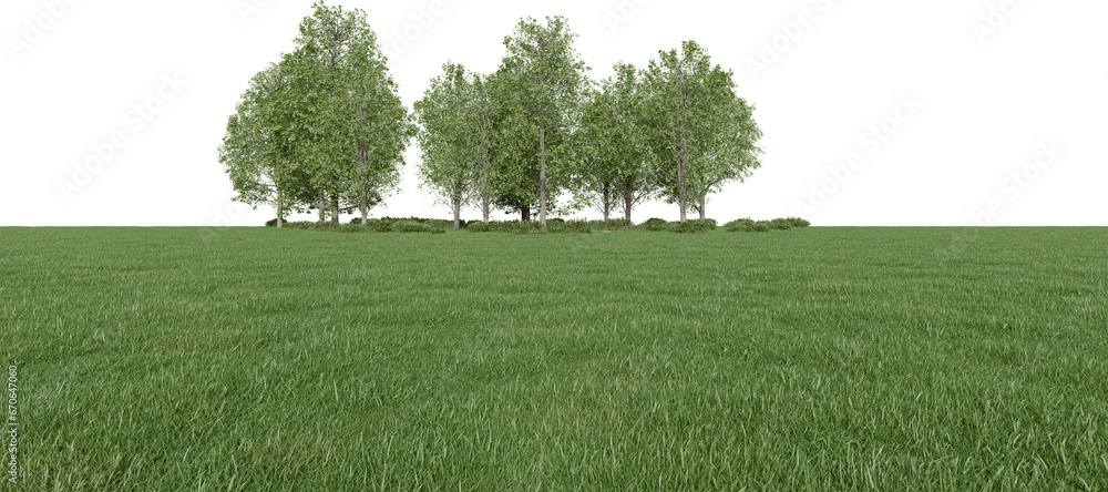 Fototapete realistic meadow and forest tree line. 3d rendering of isolated objects.