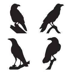 Collection of silhouettes crows perched on tree branches - obrazy, fototapety, plakaty