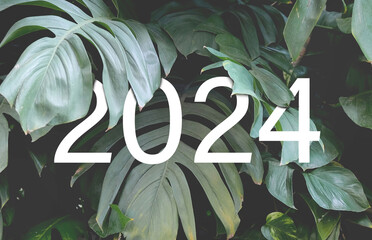 2024 New year white text hidden in natural green monstera leaves. Floral typography design