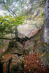 Seasonal natural scene, Sulov rocks, Slovakia