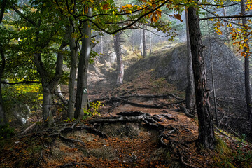 Seasonal natural scene, Sulov rocks, Slovakia