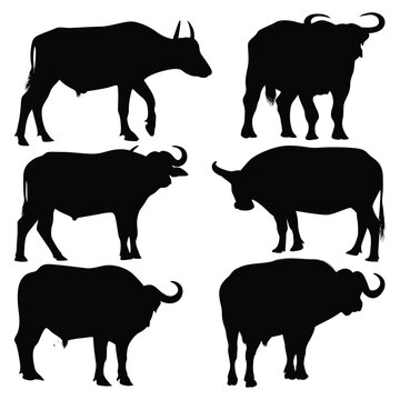 Vector animal buffalo silhouettes vector illustration