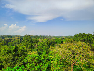 Fototapeta na wymiar Sky with clouds over the green forest , view from a watch tower, location: Satchari National Park, Bangladesh 