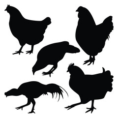 Vector farm animal chicken silhouettes vector illustration