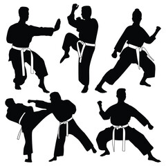 Martial Art or karate Silhouettes Vector illustration © JerinChowdhury