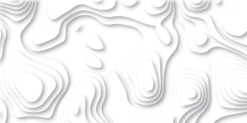 Abstract white paper cut background with lines. Background of the topographic map. White wave paper curved reliefs abstract background. Realistic papercut decoration textured with wavy layers. - obrazy, fototapety, plakaty
