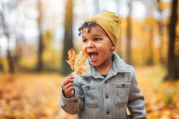 two year old little boy posing in autumn park