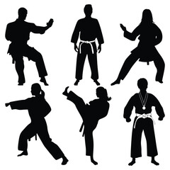 Martial Art or karate Silhouettes Vector illustration © JerinChowdhury