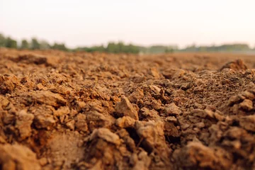 Foto auf Acrylglas Black earth for plant background. Close-up of black soil prepared before sowing plants. Rural landscape. © maxbelchenko