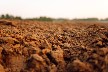 Black earth for plant background. Close-up of black soil prepared before sowing plants. Rural landscape.