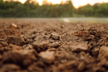 Black earth for plant background. Close-up of black soil prepared before sowing plants. Rural landscape.