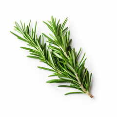 Fototapeta premium Rosemary plant on white isolated background - ai generative