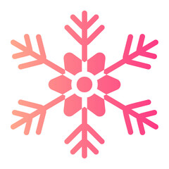snowflake gradient icon