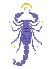 Scorpio, eighth zodiac sign in Astrology. Isolated vector illustration in flat design