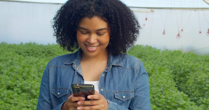 Multi-ethnic woman farmer uses cellphone, texting in greenhouse, organic herbs
