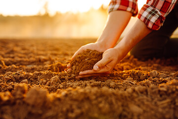 Black soil in the hands of a farmer. The hands of an experienced agronomist collects soil and checks the quality of black soil. Concept of fertility, ecology. Agriculture. - obrazy, fototapety, plakaty