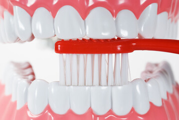 Teeth and brush