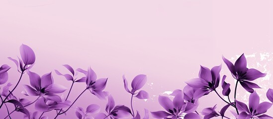 Background that is colored purple