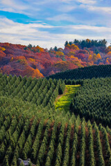 Fall scenery in the Appalachian mountains