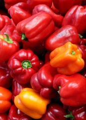 red and colorful fruits of pepper vegetable