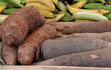 various tropical vegetables and fruits close up