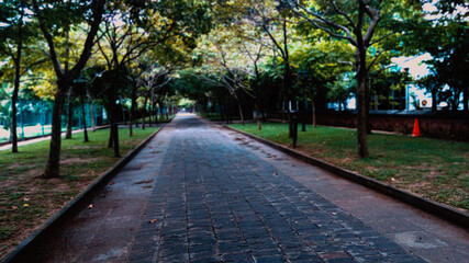 walk in the park, srilanka beautiful plase 