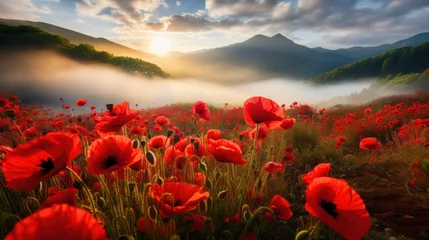 Tuinposter Poppy field on sunrise © Kondor83