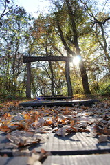 A train track with trees and leaves