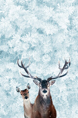 Noble deer family in winter snow forest.  Winter wonderland. Christmas image.