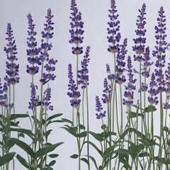 Lavender flowers , Generated using AI