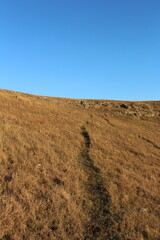 A grassy hill with a person's shadow on it