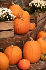 Pumpkins and flowers on wooden boxes agains red brickwall in halloween season during farmers market.