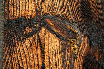 wooden board with a knot - obrazy, fototapety, plakaty