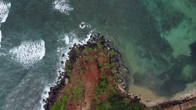 Aerial top view of Scenic Coconut tree hill in Mirissa, Sri Lanka
