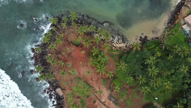 Aerial top view of Scenic Coconut tree hill in Mirissa, Sri Lanka