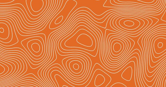 Moving white color thin curved wavy lines topology on a orange color background. moving topographic map lines seamless looped animation.