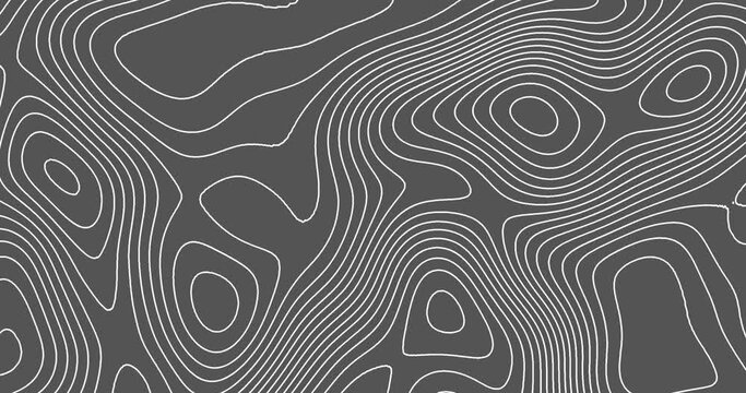 Moving white color thin curved wavy lines topology on a grey color background. moving topographic map lines seamless looped animation.