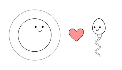 Egg cell and sperm in cute cartoon style. Human fertilization isolated vector illustration.