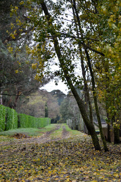 camino entre corrales en oto&ntilde;0