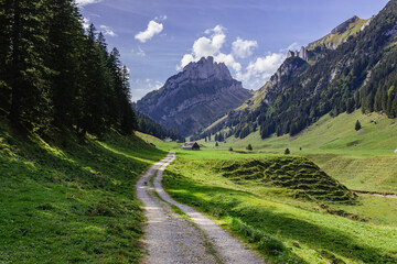 Switzerland's landscape is a masterpiece of nature. This scenic tableau is a harmonious symphony of...